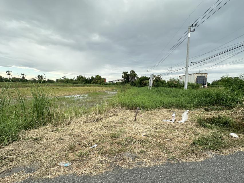 ขายที่ดินเปล่า เนื้อที่ 55-3-36 ไร่ ถนนศุขประยูร ตำบลหนองตีนนก อำเภอบ้านโพธิ์ จังหวัดฉะเชิงเทรา 14