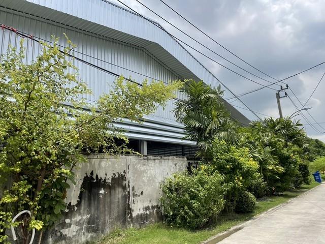 ให้เช่าโกดัง ใกล้ทางด่วนกาญจนาภิเษก พื้นที่ใช้สอย 1,280 ตร.ม. เข้าออกได้ทั้ง ซอยเทพารักษ์ 8 และ สุขุมวิท 115 5