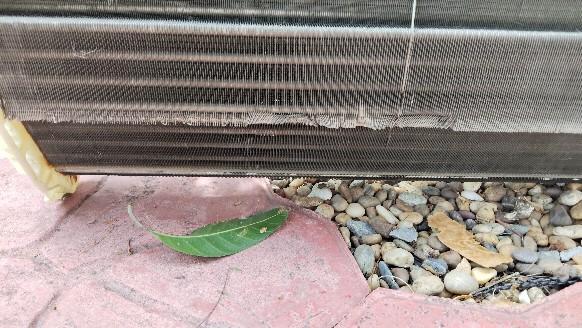 ช่างแอร์สุวรรณภูมิ ล้างแอร์-ซ่อมแอร์บ้าน ลาดกระบัง กิ่งแก้ว ฉลองกรุง หลวงแพ่ง เปร็ง ร่มเกล้า คุ้มเกล้า 12