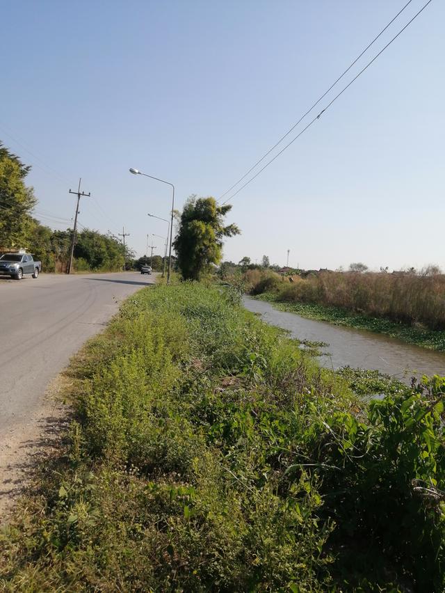 ขายที่ดิน1ไร่60ตรว​ จ.อยุธยา​ ที่สวยหน้ากว้างหลังลึก​ อยุ่ในเขตชุมชน​ ถนนเข้าออกสะดวกกว้างที่หน้ากว้างหลังลึกบรรยากาศดีมาก 8