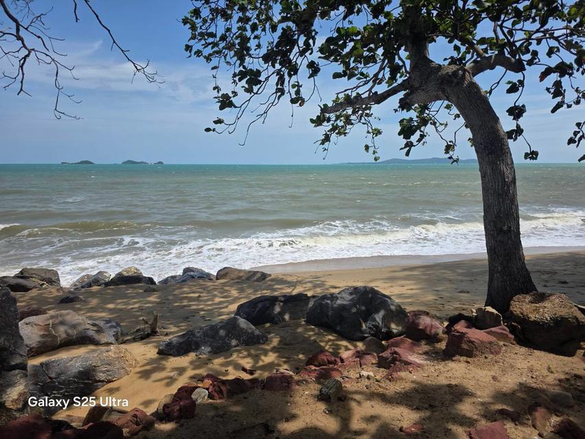 ขายที่ดิน จังหวัดระยอง ติดทะเล สวยที่สุดแปลงสุดท้าย 1