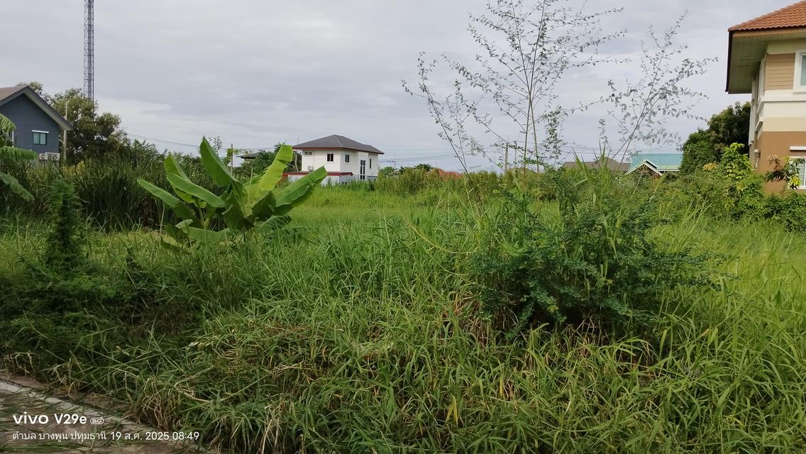 ที่ดิน 1