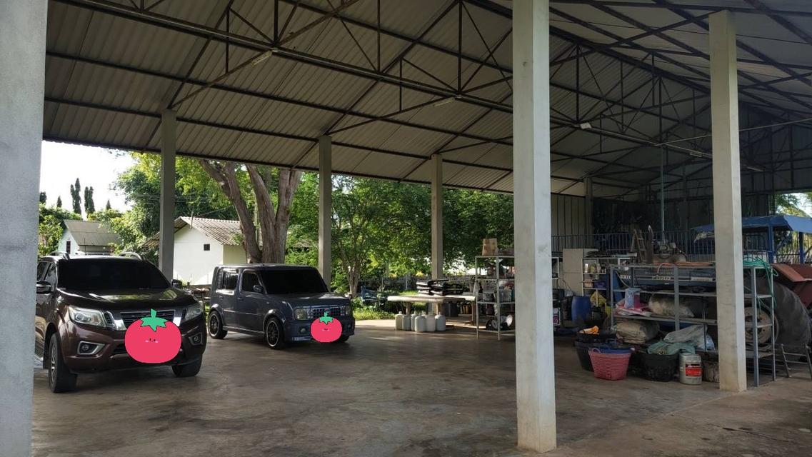 🌳 [ขายด่วน/急售] ที่ดินทองคำ บ้านโป่ง ราชบุรี (550K/ไร่) ติดถนนลาดยาง 3 ด้าน | น้ำไม่ท่วม 100% | เหมาะทำเกษตร โรงงาน และ Wellness Center 17