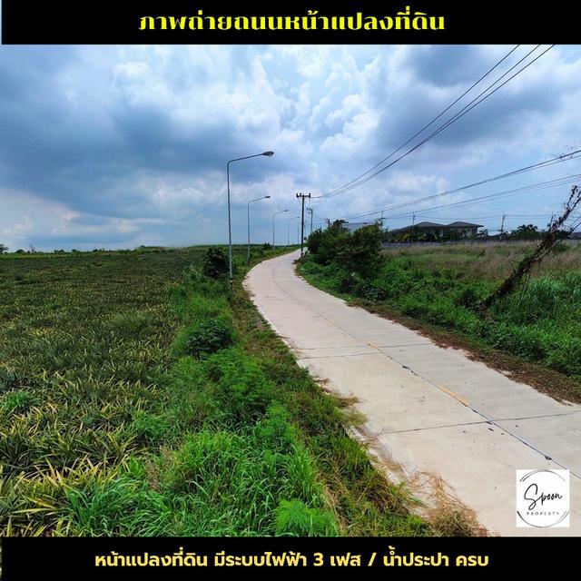 ขายที่ดินปลวกแดง มาบยางพร ใกล้นิคมอุตสาหกรรม 4