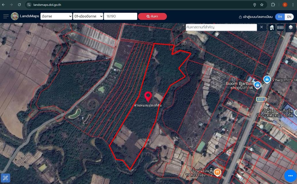 ขายที่ดิน 30 กว่าไร่จังหวัดบึงกาฬ 3