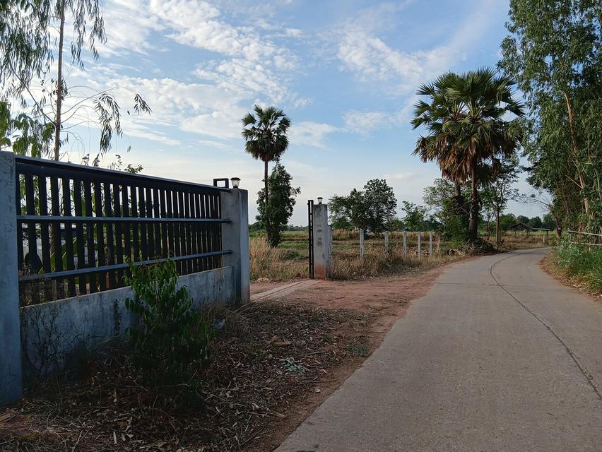 ขายด่วนที่ดินเปล่า21ไร่ ราคา3.9ล้าน ทำเลดีสวยบรรยากาศดีเหมาะทำฟาร์มรีสอร์ท อ.บ้านแท่น จ.ชัยภูมิ สนใจ0844255956 3