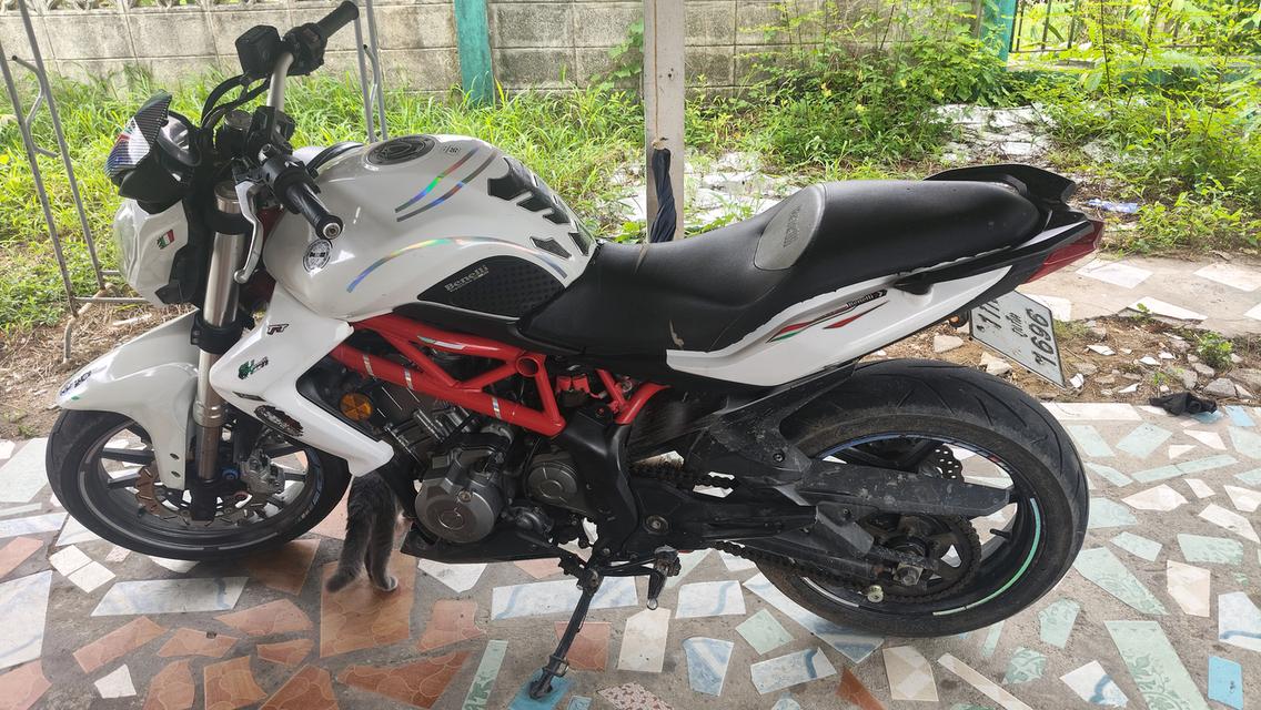 มอเตอร์ไซค์ benelli 300 cc รูปที่ 13