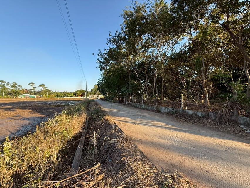 ที่ดินขอนแก่น ตำบลศิลา ที่สวยมากเหมาะกับการลงทุน ทำเลดี 4