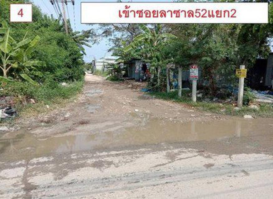 ขายที่ดินใกล้ BTS ติดถนน ซอยลาซาล52