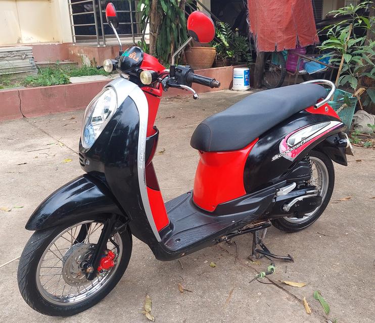 scoopy i