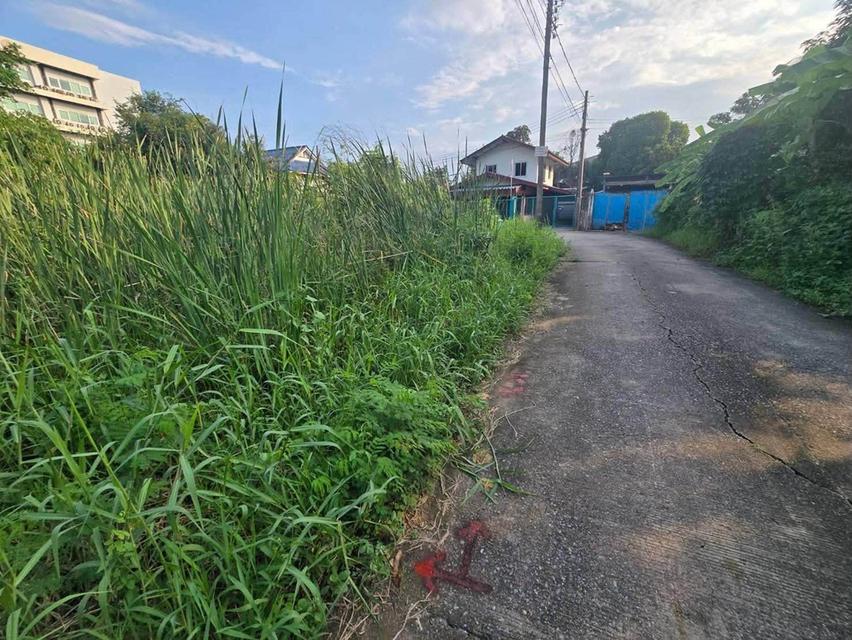ขายด่วนที่ดินใกล้เทศบาลเมืองพิมลราช 60 ตรว ติดถนนคอนกรีตสาธารณะ แปลงมุม ซ.หมอเหลียง บางบัวทอง นนทบุรี 10
