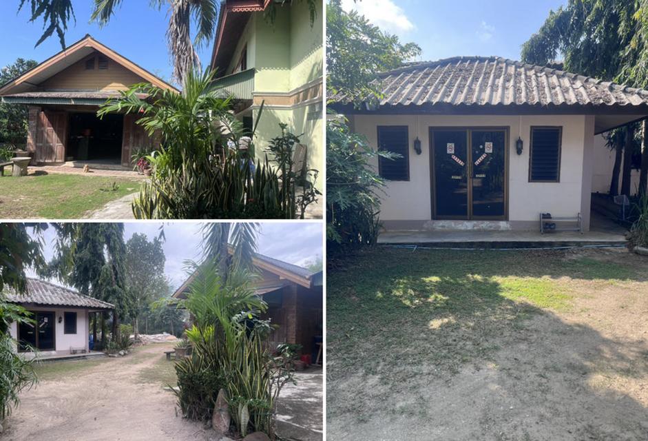 ขายบ้านพร้อมที่ดิน 407 ตารางวา ตำบลลำปางหลวง อำเภอเกาะคา จังหวัดลำปาง 5 นาที ถึงถนนใหญ่พหลโยธิน 5