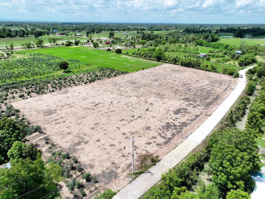 ขายที่ดินแปลงสวย หนองราชวัตร สุพรรณบุรี ราคาเริ่มเพียง 350,000 บาท/ไร่ 7