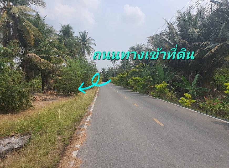 ขายที่ดินแปลงสวยติดแม่น้ำบางปะกง อ. เมือง จ.ฉะเชิงเทรา