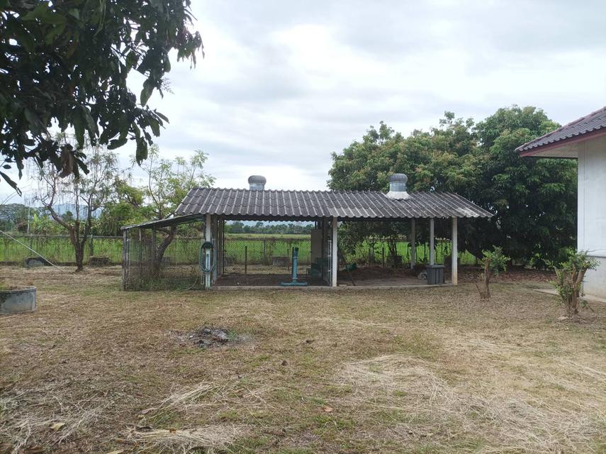 ขายบ้านพร้อมที่ดิน ต.สง่าบ้าน อ.ดอยสะเก็ด จ.เชียงใหม่ 13