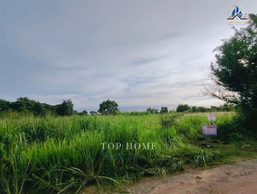ขายด่วน❗️ที่ดิน 1 ไร่ ศรีราชา ห่างจากทางด่วนมอเตอร์เวย์หมายเลข 7 เพียง 10 นาที 8