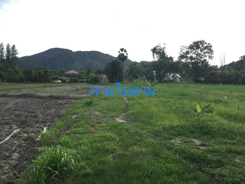ขายที่ดินยกแปลง 10.9175 ไร่ เหมาะสำหรับทำบ้านพักตากอากาศ รีสอร์ท ร้านอาหาร บ้านช่องมะเฟือง ต.หนองรี อ.เมือง ชลบุรี 2