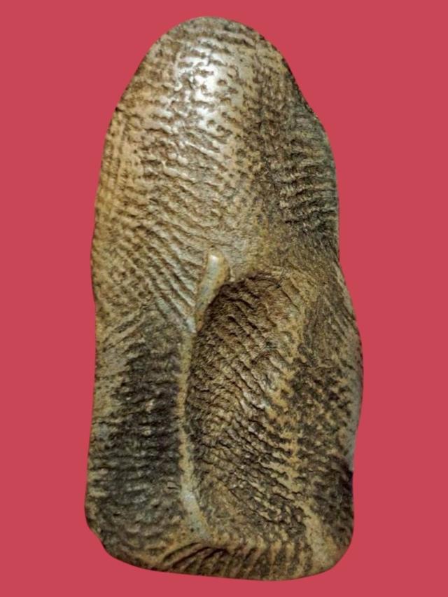 พระรอด เปิดให้บูชาจ่า 3