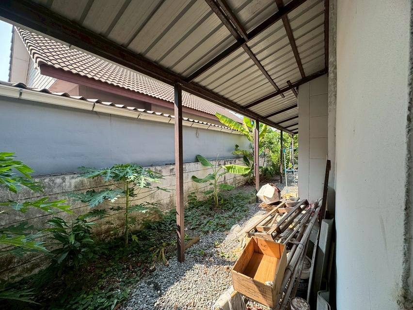 ขายบ้านเดี่ยว หนองจอก **ราคาพิเศษ บ้านร่มรื่นน่าอยู่** (N.2072) 17