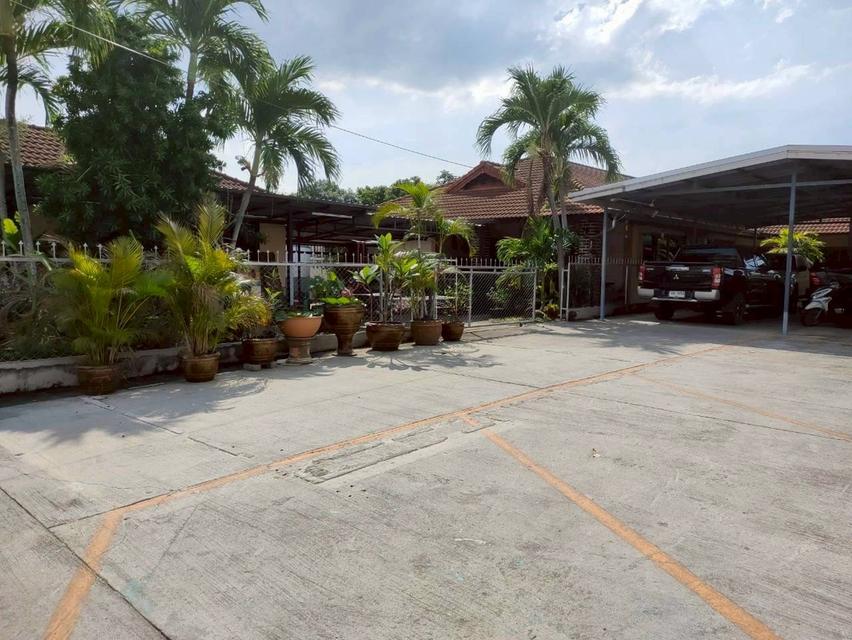 บ้านและห้องแถวให้เช่า 12