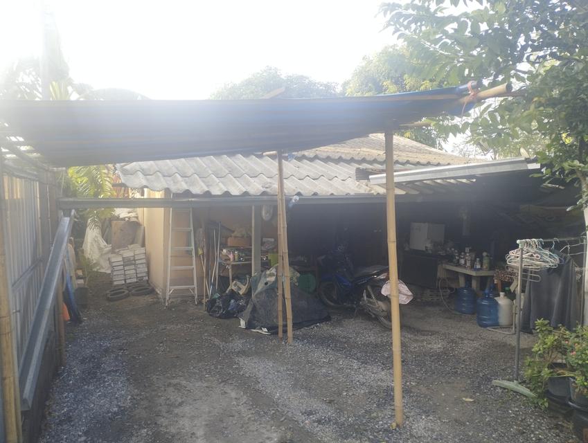 บ้านปลูกเอง 50ตรว. 6