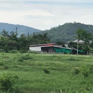 ที่ดิน ราคาถูก ๆราคานี้ หาไม่ได้เเล้ว  โฉนดครุฑเเดง 1