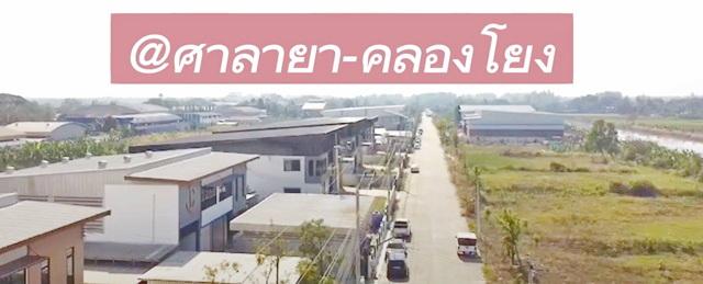 บางใหญ่ พุทธมณฑล สาย4 เช่า ขายโกดัง พร้อมออฟฟิศ 2 นอน 501 ตร.ม. ศาลายา 126 ตร.วา.คลองโยง ม.ราชภัฏสวนสุนันทา นครปฐม 2.7 ก 5