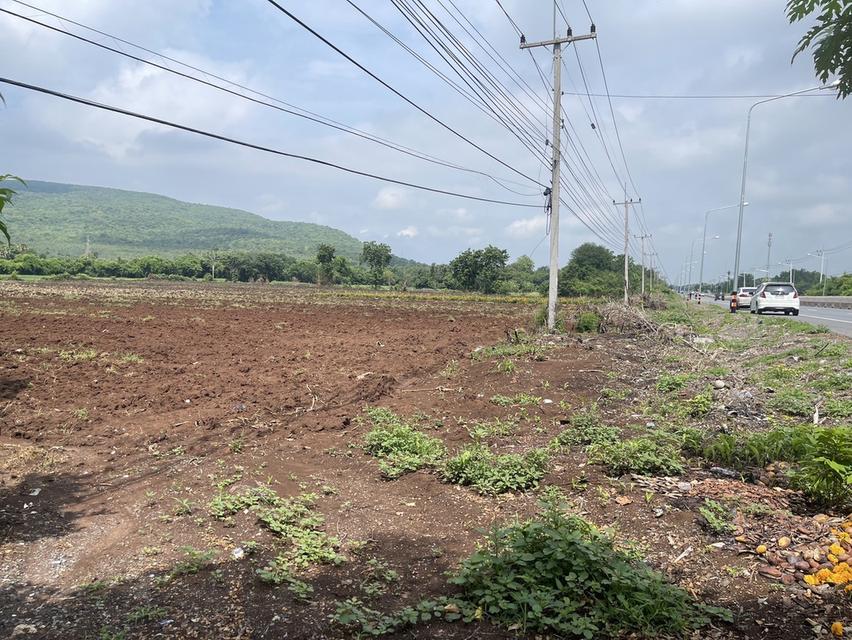 ขายที่ดิน(เจ้าของขายเอง) ติดถนนสุรนารายณ์ (205) โฉนดครุฑแดง 16 ไร่ 1 งาน 45 ตารางวา ลพบุรี 2