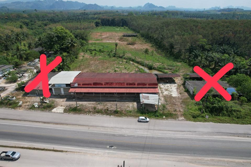 ขายที่ดินพร้อมสิ่งปลูกสร้าง 1