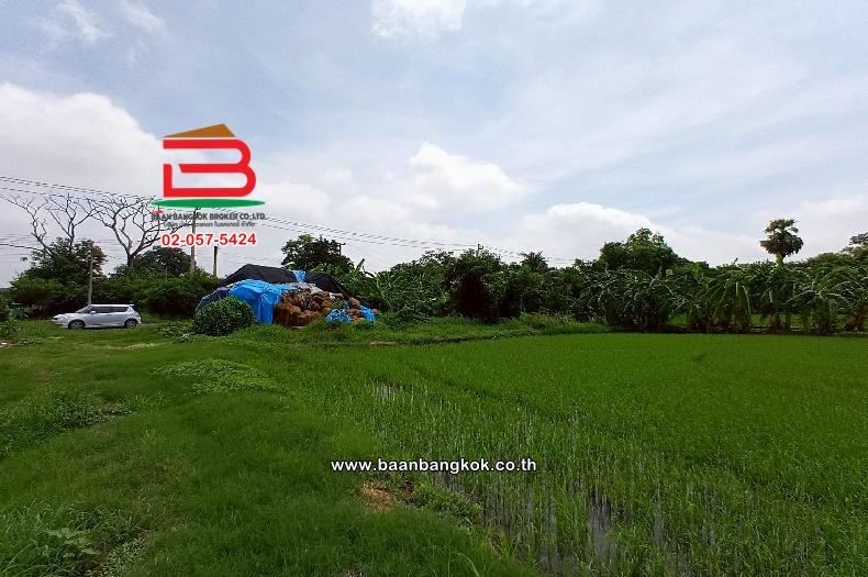 ที่ดินเปล่า ไมตรีจิต 10 แยก 4 เนื้อที่ 41-0-52 ไร่ ใกล้โรงพยาบาลรัตนประชารักษ์ แขวงสามวาตะวันออก เขตคลองสามวา กรุงเทพมหานคร