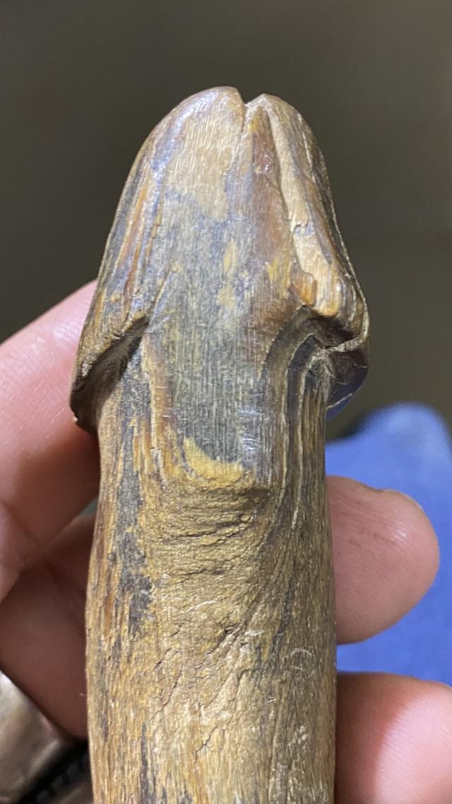 ปลัดขิกเขาควายเผือก หลวงพ่อโศก รูปที่ 6