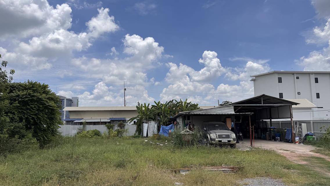 ขายที่ดิน 1ไร่ ถมแล้ว✅องครักษ์ทำเลทอง 6