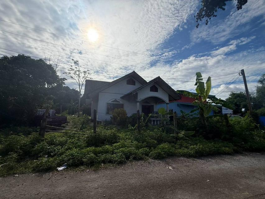 ขายบ้านเดี่ยวชั้นเดียว ราคาสบายกระเป๋า เพียง 790,000 บาท 8