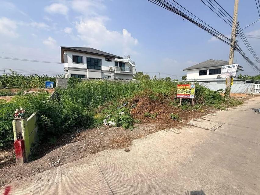 ขายด่วนที่ดิน 75 ตารางวา ติดถนนคอนกรีตสาธารณะ บงกช43 คลองหลวง ปทุมธานี 1
