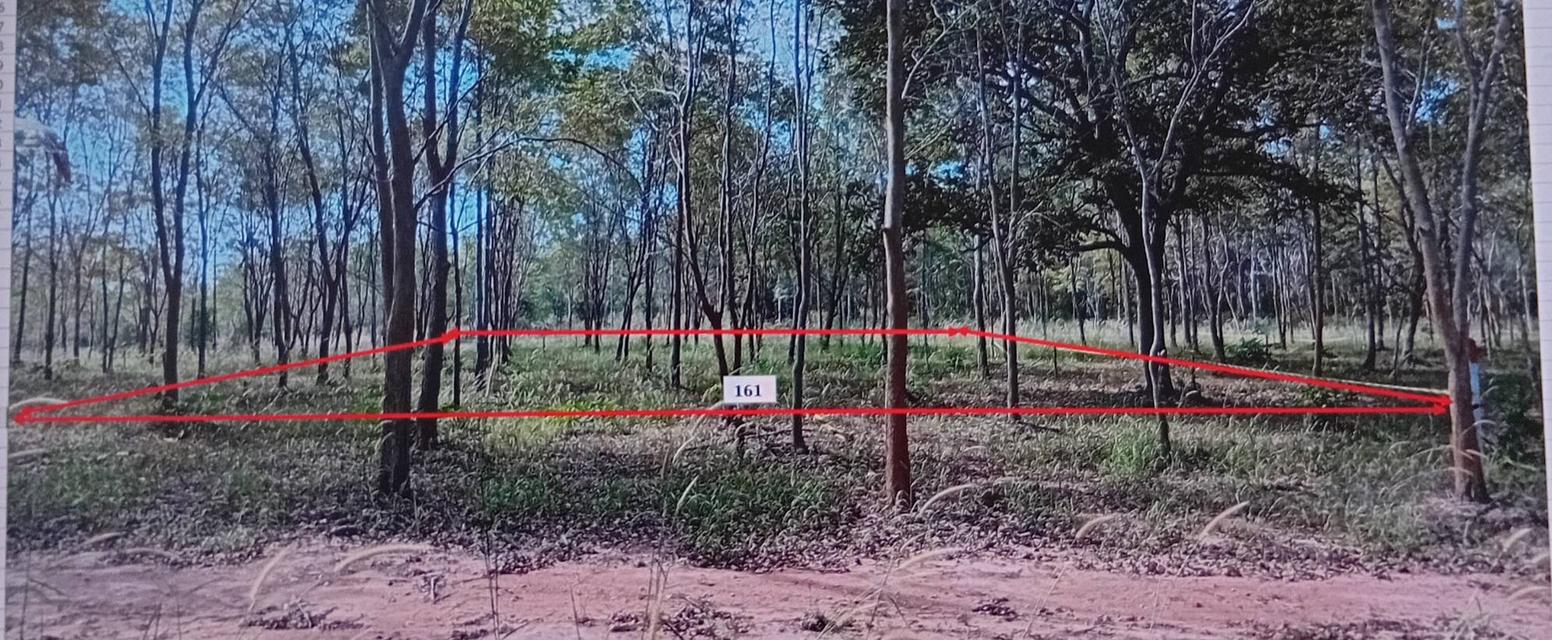 ที่ดินแบ่งขายมีโฉนด ครุฑแดง 4