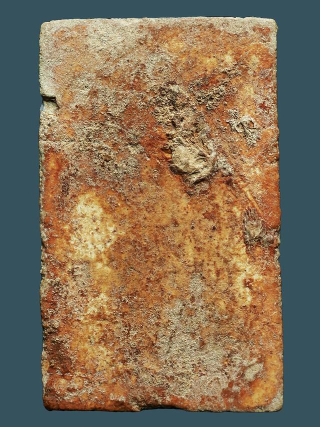 พระสมเด็จบางขุนพรกม กรุใหม่ พิมพ์ฐานแซม....เก่าๆ รูปย่อยที่ 3