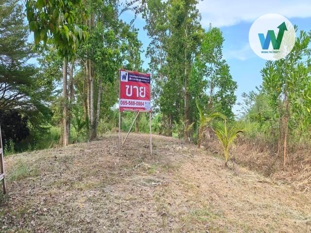 ที่ดินใกล้ปั๊ม ปตท. สาขาชะอวด 1