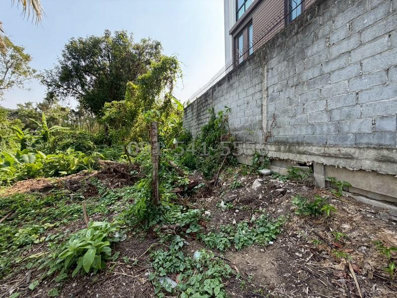 ขายที่ดิน 3 แปลง 554 ตรว ซอยกรุงเทพนนท์ 2 แยก 3 ติดถนนสาธารณะ ทำเลศักยภาพ ใกล้เมือง เดินทางสะดวก 7