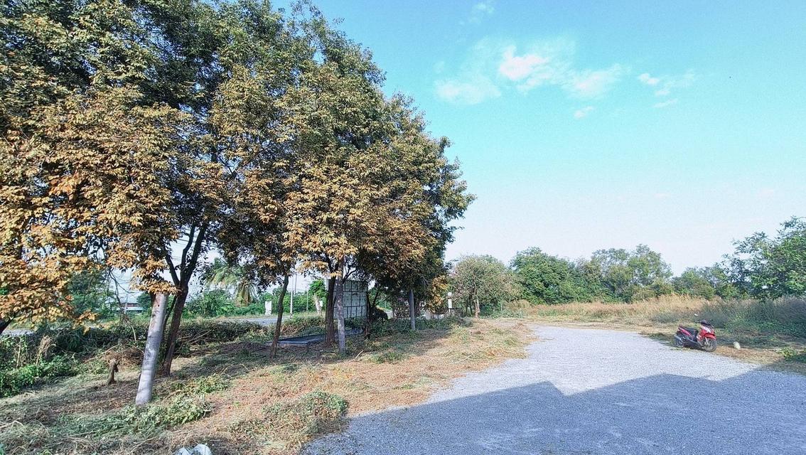 ขาย/ให้เช่า ที่ดินอ่างทอง เจ้าของขายเอง 16