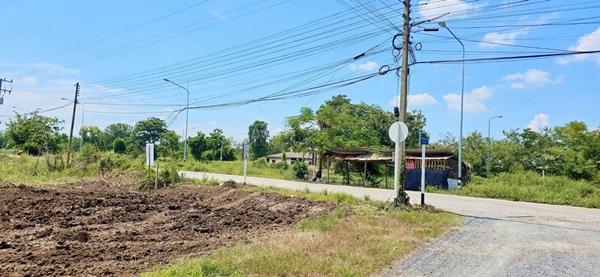 R002-3 ขายที่ดินหนองเสือคลอง11 #ขายที่ดินหนองเสือคลอง11ปทุมธานี  ที่ดิน70 ตรว.ราคา 299,000บาท สนใจโทร. 086 337 4861 เรณู. #ที่สวยทำเลดีติดถนนลาดยาง 6