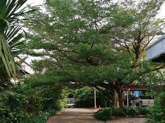 Sandy serviced apartment  4