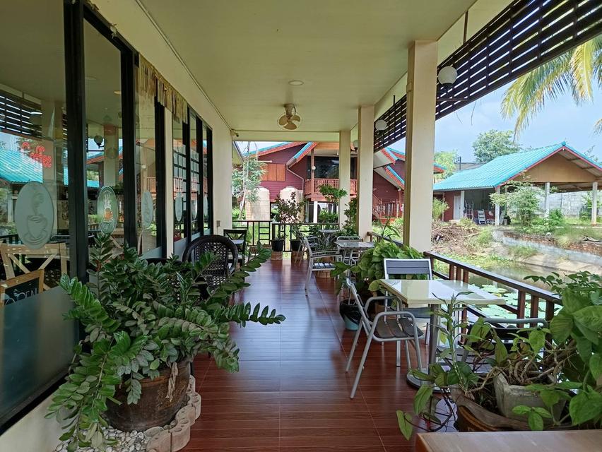 ขายที่ดินพร้อมสิ่งปลูกสร้าง 5