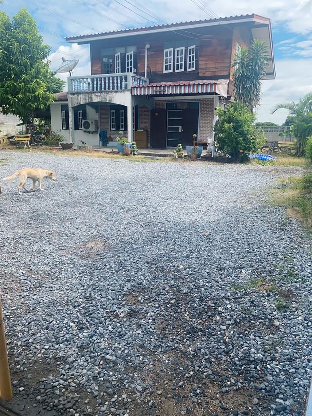 ทีดินพร้อมสิ่งปลูกสร้าง 1