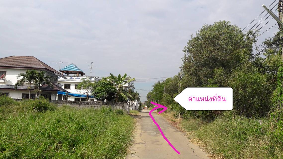 ที่ดิน ทรงสวย ขนาดพอดี สร้างบ้าน อาคารสำนักงาน อยู่ถนนเพิ่มสิน เข้าซอยแค่ 250 เมตร