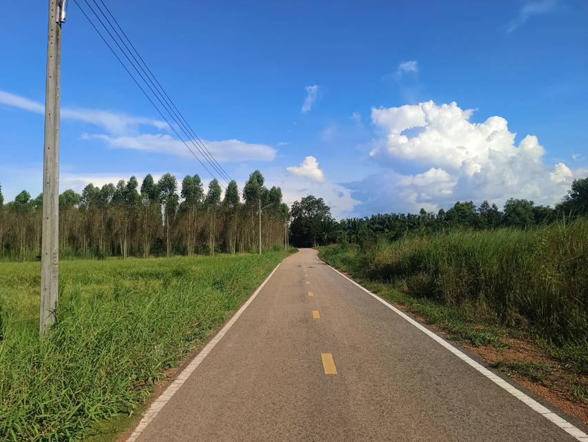 ขายที่ดินนนทรี 2 ไร่ ติดถนนลาดยางใกล้ถนนสุวรรณศร33-4กม. อ.กบินทร์บุรี ปราจีนบุรี 4