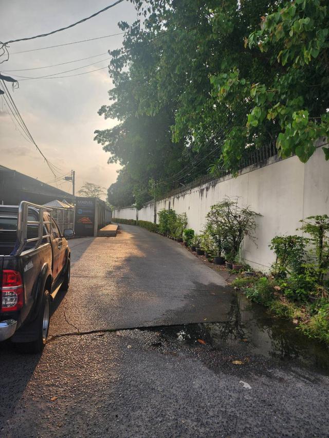 ที่ดินทำเลดี ติดถนนพิบูลสงคราม 5