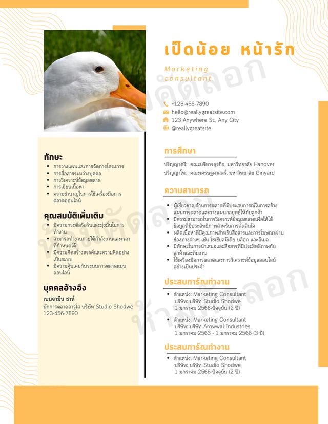 รับออกแบบ RESUME