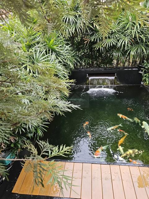 ขาย บ้านเดี่ยว 2 ชั้น โครงการ ศุภาลัย พาร์ควิลล์ รามอินทรา 5 Supalai Park Ville Rarmintra มีห้องนอนชั้นล่าง เหมาะกับผู้สูงอายุ บ้านอยู่ถนนเมน 7