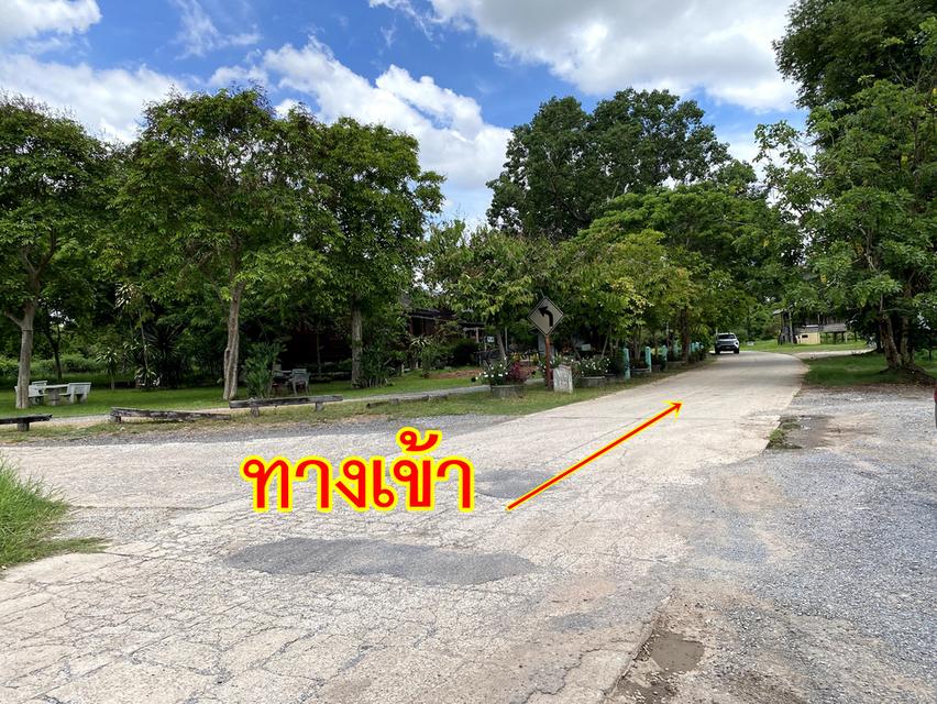 ที่ดินโฉนด4ไร่มีน้ำตลอดปี ติดคลองสองด้าน อ.สูงเนิน จ.นครราชสีมา 18