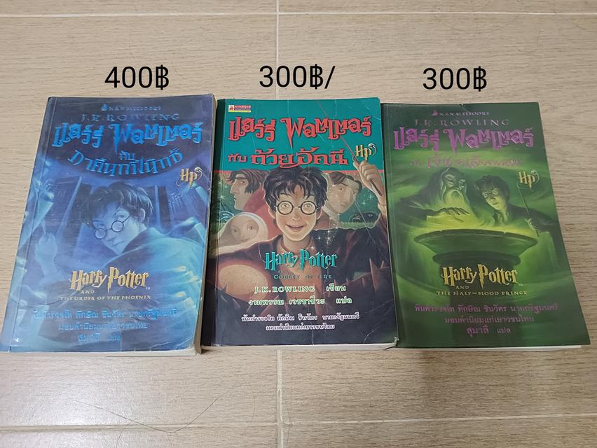 นิยายแฮร์รี่พอตเตอร์